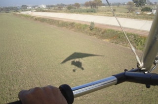 Emprendiendo vuelo